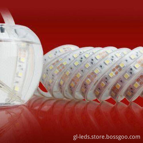 LED Rope Light with 12 or 24V DC Input Voltage and 3M Adhesive Tape
